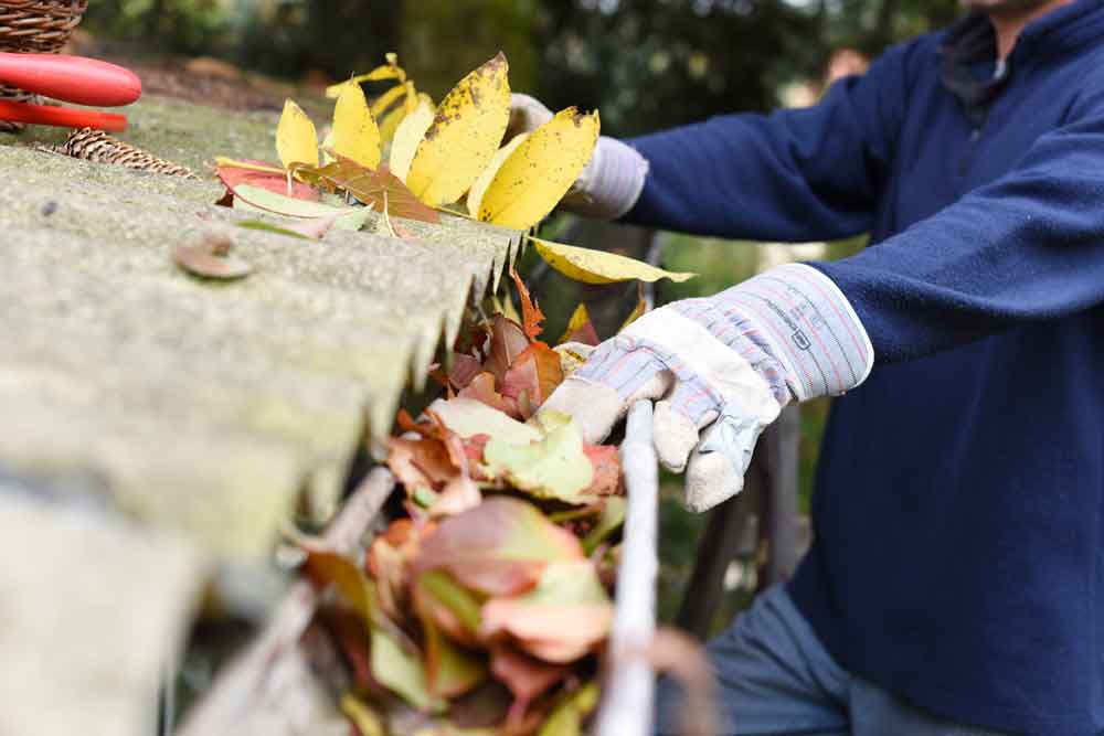 gutter cleaning monterey santa cruz san benito county